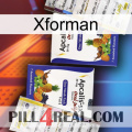 Xforman 12